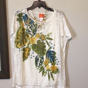 Beautiful, like new Heart of Palms too, 1X